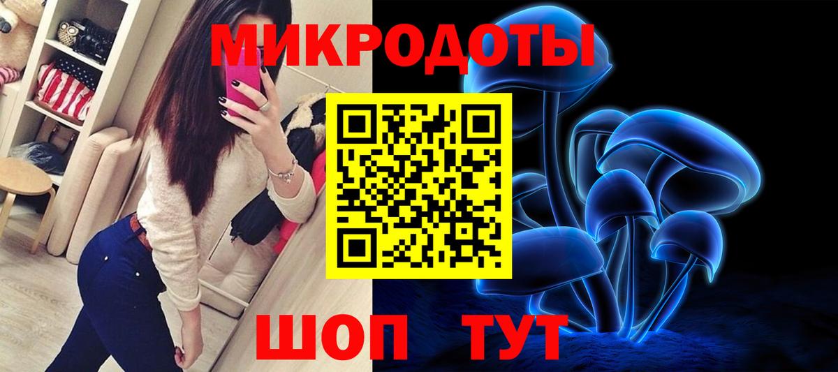Галлюциногенные грибы Psilocybe Саранск